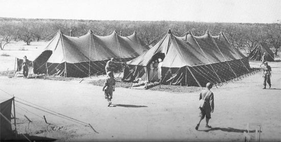 Tent, Hospital Ward, Early (No Stakes or Poles)
