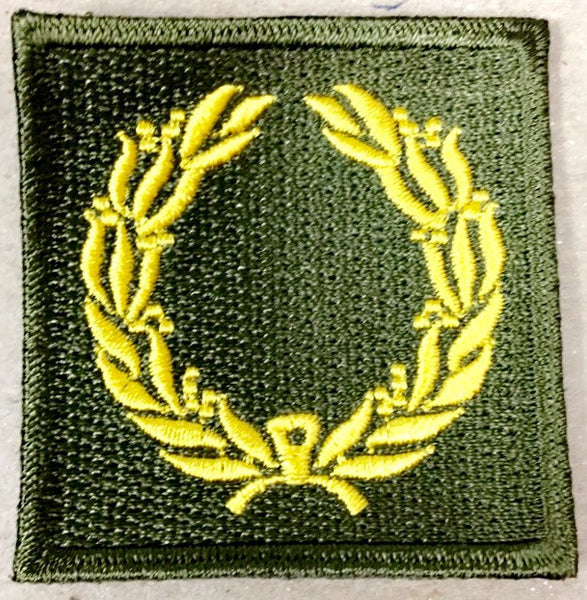 Patch, Meritorious Service