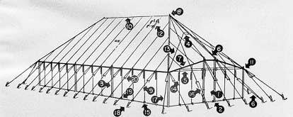 Tent and Fly, Squad, M1942 (No Stakes or Poles)